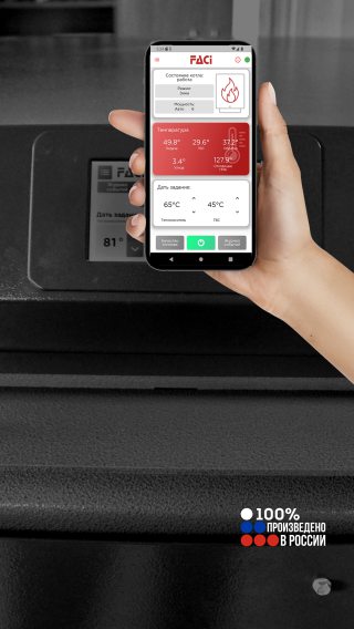 Пеллетные импортные итальянские котлы FACI для отопления | Котлы FACI